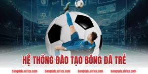 Hệ thống đào tạo bóng đá trẻ